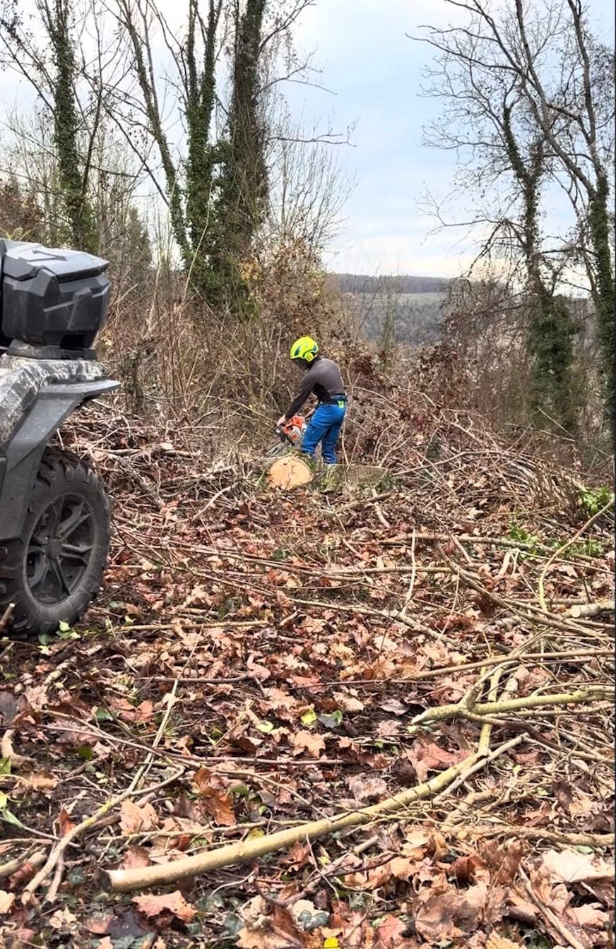 Intervention d'urgence après tempête : opérateur Green Line Solutions débitant un arbre tombé à la tronçonneuse, quad sur le chantier